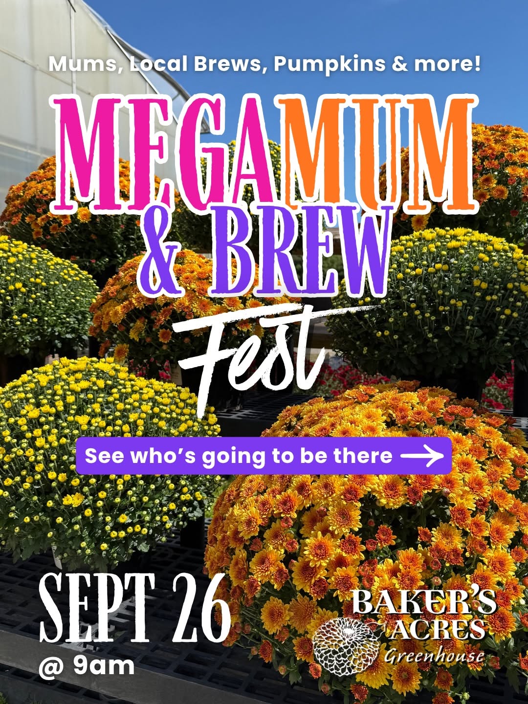 🌼🍻 MegaMum & Brew Fest is on 9/26 and you don’t want to miss ALL the fall fun at Baker’s Acres!
Shop our thousands of mums, grab a local brew, shop some seriously cool vendors, and spend the day soaking up one of our favorite fall traditions. 🍂
🍻 Breweries:
@dankhousebrews
@threetigersbrewing
+ assorted wines
🛍️ Vendors:
✨ Retro Relics by Rachel
✨ @groovyxgoth
✨ @smithfieldroots
✨ @kronchy.co
✨ Mystik Mama Kays
✨ @rootandrisebakeco
✨ The Baked Leaf
✨ @smashcity614
✨ Alley Art Studio
✨ @e.midnight.mind
Come for the mums. Stay for the brews, local makers, good eats, and all the fall vibes.
📍Baker’s Acres - 3388 Castle Rd, Alexandria, OH
.
.
.
#thingstodoinohio #megamums #fallmums #brewfest #BakersAcresGreenhouse