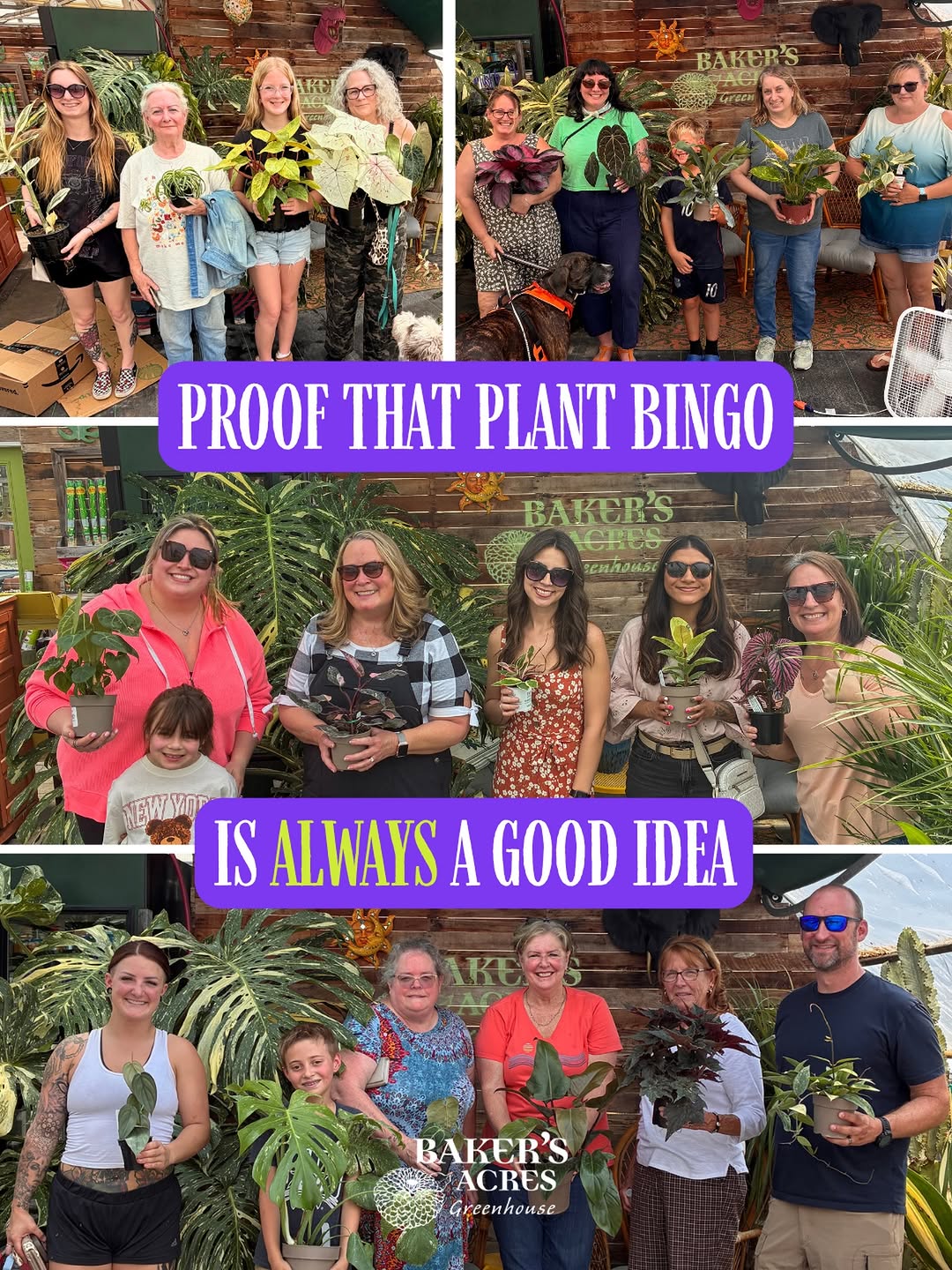 Proof that Plant Bingo comes with some pretty happy winners 🌿
Don’t miss out on Ohio’s Original Plant Bingo at Baker’s Acres!
Your next chance to win some plants:
📅 Sept 20
🕐 1–3 PM
📍 Baker’s Acres Greenhouse
Just show up with your bingo buddy and have some fun…before bingo season ends.
.
.
.
#PlantBingo #BakersAcresGreenhouse #plantlovers #greenhouselife #alexandriaohio